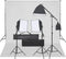 vidaXL - Fotostudioset - met - verlichtingsset - en - achtergrond