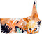 Roxy Swim The Sea - Asymmetrische Bikinitop - Verwijderbare pads - Peach