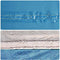 vidaXL - Kampeerluifel - waterdicht - 500x294 - cm - blauw