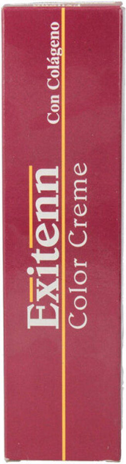 Permanente Kleur Exitenn Color Creme Nº 1031 (60 ml)
