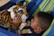 FurReal Brullende Tyler, de Speelse Tijger - Interactieve knuffel