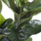 Mica Decorations Ficus Lyrata - Kunstplant - H100 x Ø60 cm - Groen