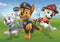 Clementoni - Puzzel - 2x20 Stukjes - Paw Patrol - Puzzel Voor Kinderen