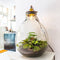 Growing Concepts DIY Duurzaam Ecosysteem Giants Ecolight XXXL - 34 Liter - Planten - Botanische Mix - H52xØ48cm