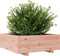 vidaXL - Plantenbak - 70x70x26,5 - cm - massief - douglashout