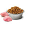 Voer Farmina 8010276033635 Volwassen Kip 2,5 g