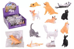 36 dierenwereld huisdieren in disp.26870.