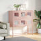 vidaXL - Dressoir - 100,5x39x107 - cm - koudgewalst - staal - roze