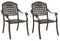 vidaXL - Tuinstoelen - 2 - stuks - in - bronzen - gietaluminium