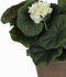 Mica Decorations Geranium Kunstplant in Bloempot Stan - H34 x Ø20 cm - Crème