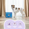 Easypets Dog Diapers Male - Hondenluiers Reu - M/L - 100 stuks - Voordeelverpakking