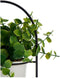 Decoratieve plant Wit Met steun Metaal Plastic (14 x 30 x 14 cm)
