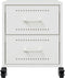 vidaXL - Nachtkastjes - 2 - st - 36x39x43,5 - cm - staal - wit
