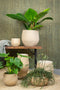Ter Steege Bloempot-Plantenschaal Beige D 28 cm H 13 cm