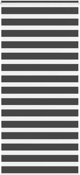 vidaXL - Zebra - rolgordijn - 105x200 - cm - stofbreedte - 100,9 - cm - zwart