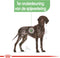 Royal Canin Digestive Care Maxi - Hondenvoer - 3 kg
