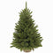 Triumph Tree Forest Frosted - Kunstkerstboom - H60 x Ø46 cm - Groen