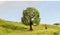 NOCH 20145 Boom Appelboom 80 mm 1 stuk(s)
