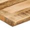 vidaXL - Tafelblad - met - natuurlijke - rand - 50x40x3,8 - cm - massief - mangohout