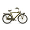 Avalon Style - Transportfiets - 28 Inch - Groen - 3 Versnellingen