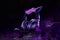 Razer Kraken Kitty V2 - Hoofdtelefoon met microfoon - Achtergrondverlichting - Paars