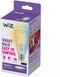 WiZ ST64 - Slimme Filamentlamp E27 - Instelbaar wit licht (1x)