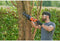 BLACK+DECKER BES301-QS - Reciprozaag 750W - Variabele snelheid en sleutelvrij wisselen zaagbladen - Oranje/Zwart