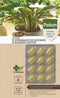 Pokon Bio Kuur - Capsules - Verhoogt weerstand kamerplanten - 12 stuks