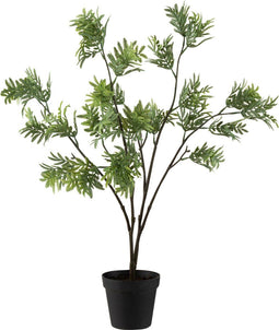 J-Line plqnt Mimosa In Pot - kunststof - groen