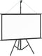 vidaXL - Projectiescherm - met - statief - 16:9 - 50''