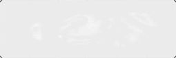 vidaXL - Doorzichtig - zeildoek - met - zeilringen - 1x3 - m - PVC