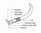 Gembird CC-DPM-DVIM-3M - Kabel - DisplayPort naar DVI-D - Zwart