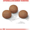 Royal Canin Digestive Care Maxi - Hondenvoer - 3 kg