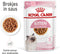 Royal Canin Kitten - Katten Natvoer in Gravy - 12 x 85 gr
