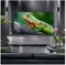 LG QNED84 - Ultra HD TV 75