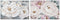 Schilderij Home ESPRIT Rozen Romantiek 120 x 3,7 x 80 cm (2 Stuks)