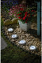 Upsmart Garden - Light Solar Spot - 4 5 Lumens Pack