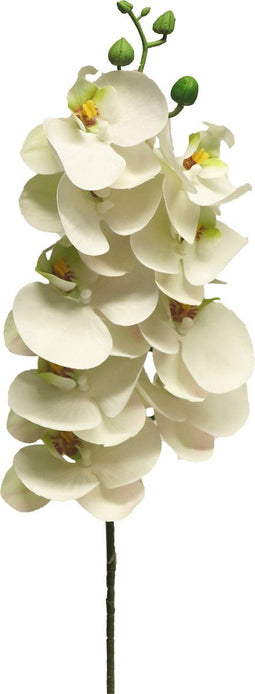 Phalaenopsis Orchidee Bora 77 cm wit kunstbloem