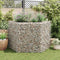 vidaXL - Gabion - plantenbak - verhoogd - zeshoekig - 160x140x100 - cm