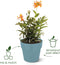 Elho B.for Original Rond 22 - Bloempot voor Binnen - 100% Gerecycled Plastic - Ø 22.0 x H 20.3 cm - Living black