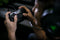 Razer Wolverine Ultimate - Gamecontroller - Razer Chroma-verlichting - Zwart