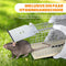 lebenlang - rattenval hout - diervriendelijke live trap - 29×12×12 cm (set van 2)