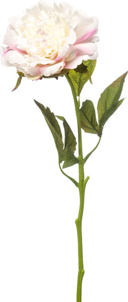 Emerald - Kunstbloem Pioenroos RT 56cm wit/roze - Kunstplanten voor binnen