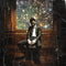 Kid Cudi - Man On The Moon II - 2xLP - Ondoorzichtig vinyl