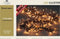 Anna's Collection - Classic cluster flash 1152led/6.9m met 96l flas...