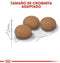 Royal Canin Ageing Sterilised 12+ - Kattenvoer - 4 kg