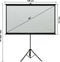 vidaXL - Projectiescherm - met - statief - 4:3 - 60''