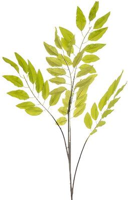 Pistacia chiensis lt green 114 cm Emerald