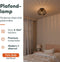 Nolt Arcadia - Plafondlamp E27 - Industrieel - ⌀ 30cm - Zwart