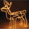 3D Rendier lichtslang - 216 lampjes - Decorative Lighting